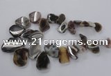 CTD1618 Top drilled 15*25mm - 30*45mm freeform botswana agate beads