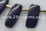 CTD1924 Top drilled 15*20mm - 15*45mm freeform lapis lazuli beads