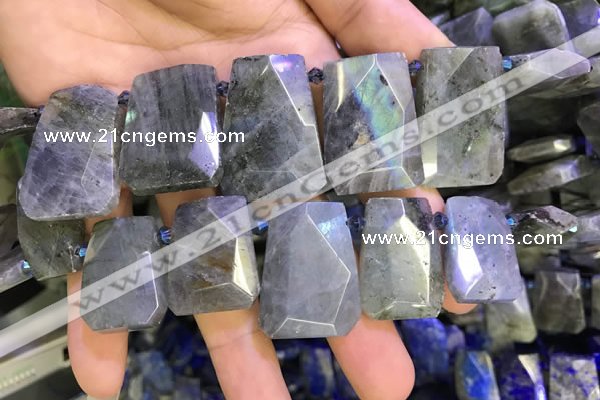 CTD2105 Top drilled 20*28mm - 22*32mm faceted freeform labradorite beads