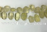 CTD2142 Top drilled 15*25mm - 18*25mm freeform lemon quartz beads