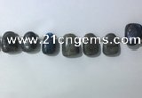 CTD2151 Top drilled 15*25mm - 18*25mm freeform labradorite beads