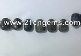 CTD2151 Top drilled 15*25mm - 18*25mm freeform labradorite beads