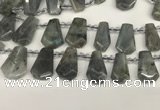 CTD2275 Top drilled 16*28mm - 20*30mm faceted freeform labradorite beads