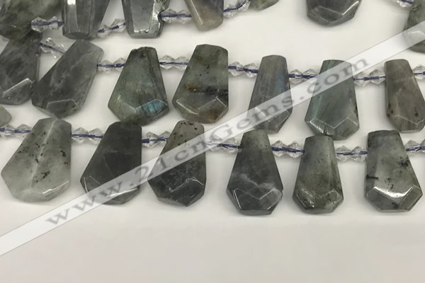 CTD2275 Top drilled 16*28mm - 20*30mm faceted freeform labradorite beads