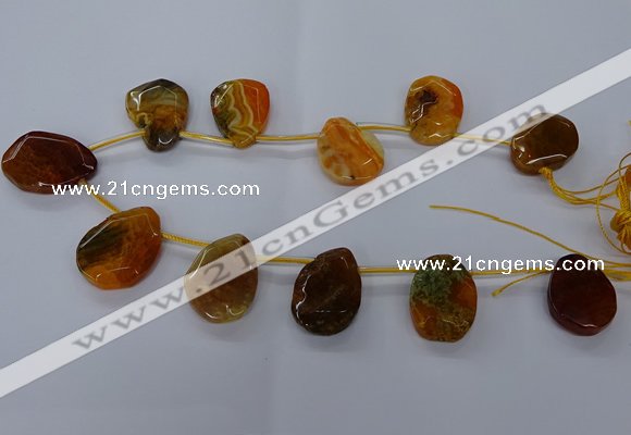 CTD2565 15.5 inches 18*25mm - 30*40mm freeform agate beads