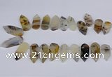 CTD2734 Top drilled 15*28mm - 18*45mm freeform montana agate beads