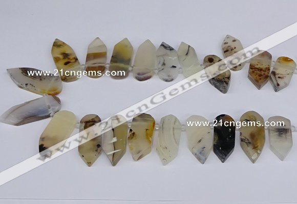 CTD2734 Top drilled 15*28mm - 18*45mm freeform montana agate beads