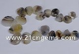 CTD2736 Top drilled 20*25mm - 35*45mm freeform Montana agate beads