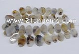 CTD2825 Top drilled 15*25mm - 25*35mm freeform Montana agate beads