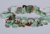 CTD2885 Top drilled 15*20mm - 25*45mm freeform australia chrysoprase beads