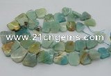 CTD3512 Top drilled 15*20mm - 25*30mm freeform amazonite beads