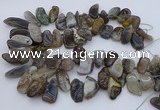 CTD3525 Top drilled 12*20mm - 15*40mm freeform botswana agate beads