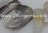 CTD353 Top drilled 10*28mm - 10*50mm wand botswana agate beads
