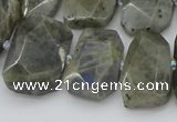 CTD3573 15.5 inches 15*20mm - 18*25mm freeform labradorite beads