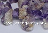 CTD3602 Top drilled 10*14mm - 13*18mm nuggets dogtooth amethyst beads
