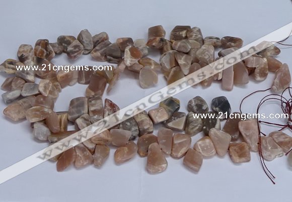 CTD3607 Top drilled 10*14mm - 13*18mm nuggets moonstone beads