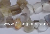 CTD3609 Top drilled 10*14mm - 13*18mm nuggets botswana agate beads