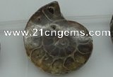 CTD365 Top drilled 25*35mm - 35*45mm carved ammonite gemstone beads