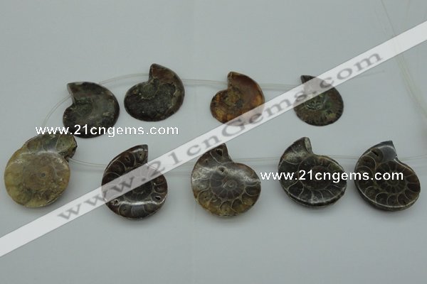 CTD365 Top drilled 25*35mm - 35*45mm carved ammonite gemstone beads