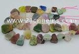 CTD3699 Top drilled 15*20mm - 25*30mm freeform mixed gemstone beads