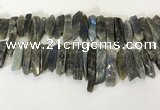 CTD3739 Top drilled 8*20mm - 10*50mm sticks labradorite beads