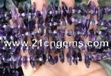 CTD3755 15.5 inches 4*6mm - 6*20mm sticks amethyst gemstone beads