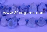 CTD3859 Top drilled 6*8mm - 10*12mm freeform larimar beads