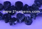 CTD3861 Top drilled 8*10mm - 10*12mm freeform seraphinite beads