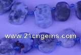 CTD3889 Top drilled 12*16mm - 13*17mm freeform larimar beads