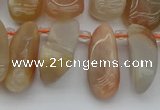 CTD447 Top drilled 10*20mm - 15*30mm freeform moonstone beads