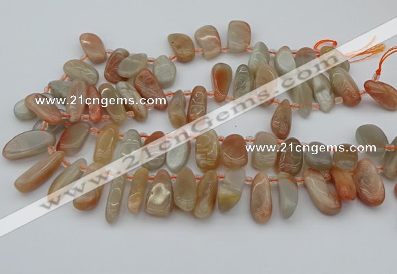 CTD447 Top drilled 10*20mm - 15*30mm freeform moonstone beads