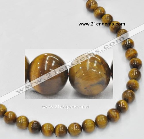 CTE08 15.5 inches 12mm round yellow tiger eye beads Wholesale