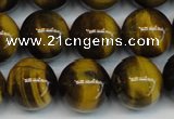 CTE1220 15.5 inches 10mm round AB+ grade yellow tiger eye beads