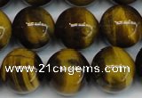 CTE1221 15.5 inches 12mm round AB+ grade yellow tiger eye beads