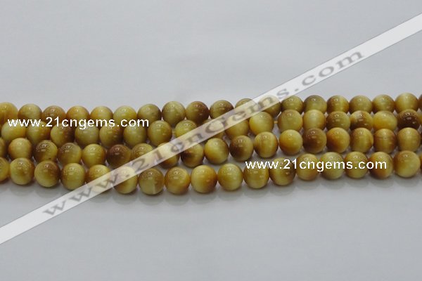 CTE1401 15.5 inches 6mm round golden tiger eye beads wholesale