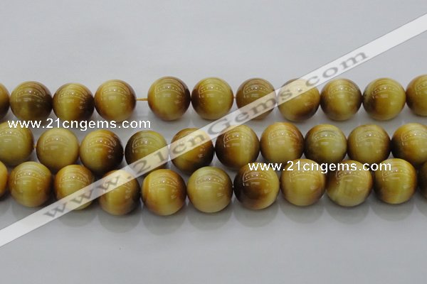 CTE1406 15.5 inches 16mm round golden tiger eye beads wholesale