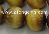 CTE1408 15.5 inches 20mm round golden tiger eye beads wholesale