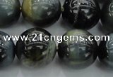 CTE1456 15.5 inches 16mm round golden & blue tiger eye beads