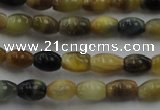 CTE1550 15.5 inches 4*6mm rice golden & blue tiger eye beads wholesale