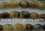 CTE1551 15.5 inches 5*8mm rice golden & blue tiger eye beads wholesale