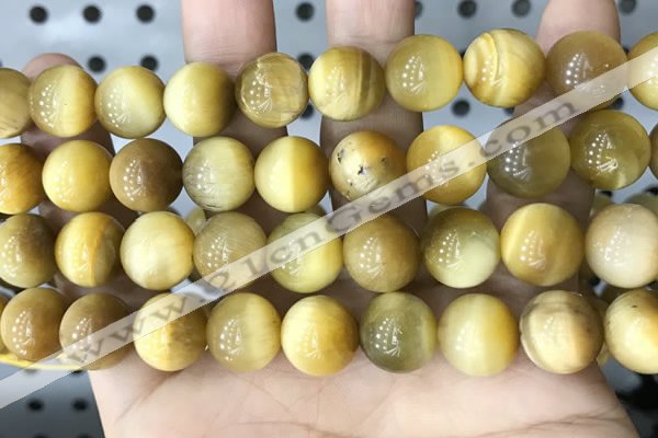 CTE2012 15.5 inches 14mm round golden tiger eye beads wholesale