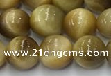 CTE2141 15.5 inches 8mm round golden tiger eye beads wholesale