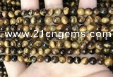 CTE2147 15.5 inches 6mm round yellow tiger eye beads wholesale