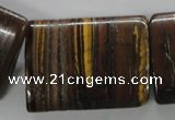 CTE313 15.5 inches 30*40mm flat tube yellow tiger eye gemstone beads