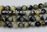 CTE551 15.5 inches 6mm round golden & blue tiger eye beads