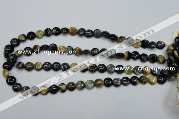 CTE560 15.5 inches 10mm flat round golden & blue tiger eye beads