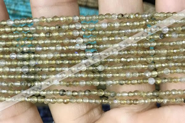 CTG1077 15.5 inches 2mm faceted round tiny labradorite beads