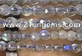 CTG1078 15.5 inches 2mm faceted round tiny labradorite beads