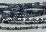 CTG115 15.5 inches 2mm round tiny sodalite gemstone beads wholesale