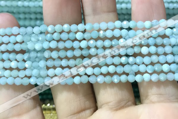 CTG1165 15.5 inches 3mm faceted round tiny amazonite beads